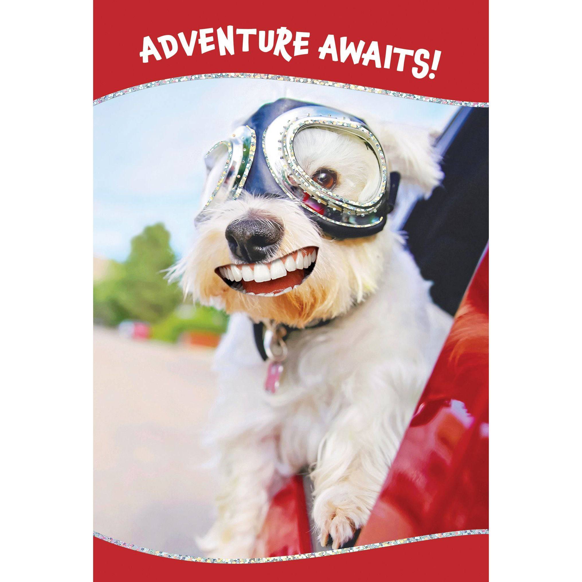 Funny Goggle Pup birthday card by Pictura featuring a playful dog illustration, perfect for everyday greeting occasions.